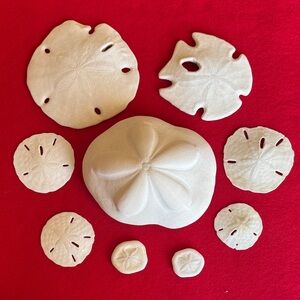 White Sand Dollar Collection